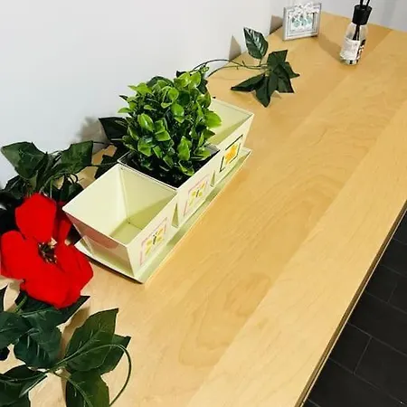 Apartment Favoloso Appartamento, 10 Minuti Dal Centro *